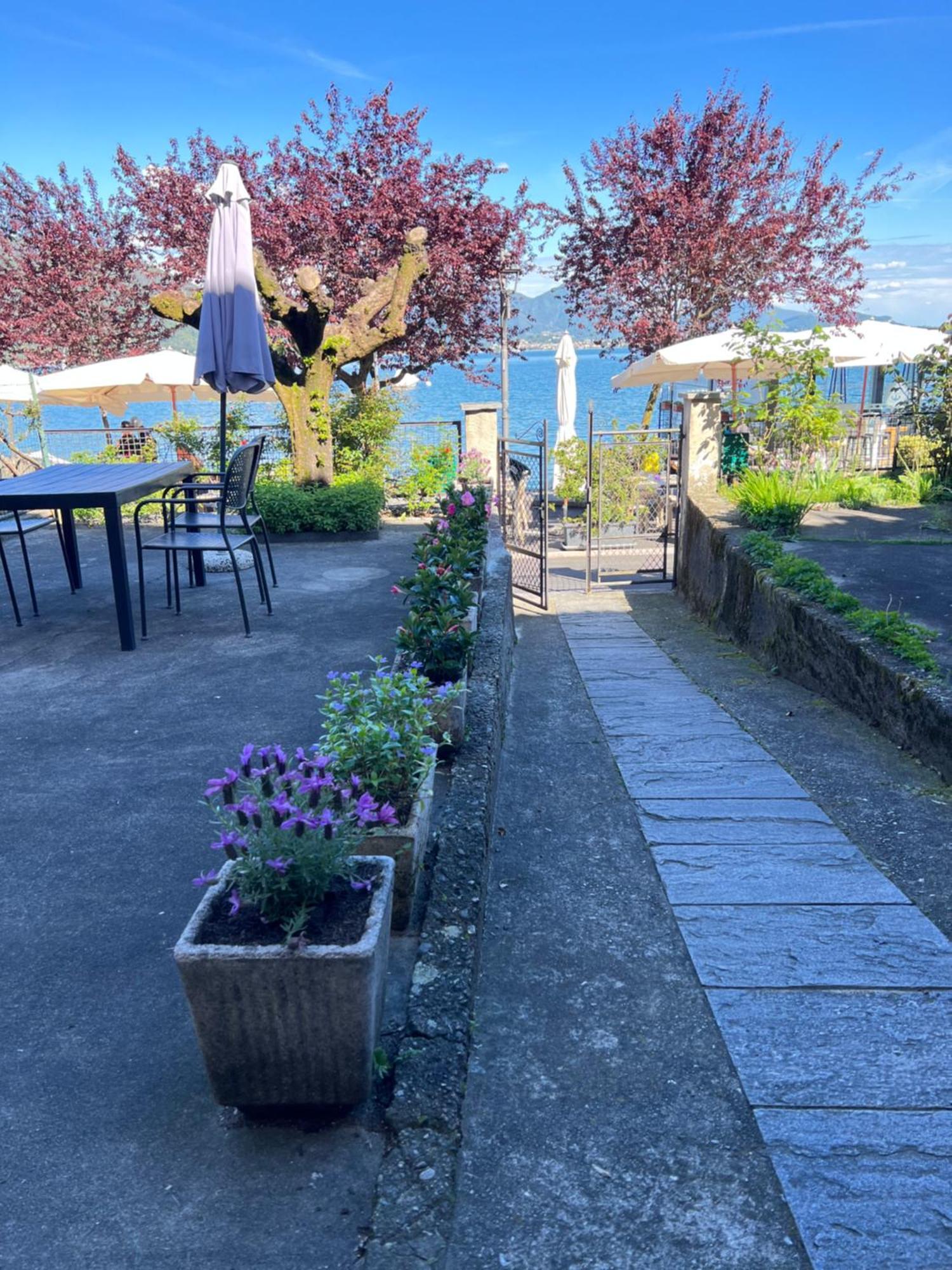 Villa Casa Aurora Baveno Esterno foto